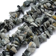Natural Hawk's Eye Beads Strands, Eagle Eye Stone, Chip, 5~8mm, Hole: 1mm, about 33 inch(84cm)(G-P332-03)