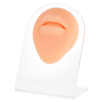 Soft Silicone Mouth Flexible Model Body Part Displays with Acrylic Stands, Jewelry Display Teaching Tools for Piercing Suture Acupuncture Practice, Saddle Brown, Stand: 5.05x8x10.5cm, Silicone Mouth: 72x61x24mm