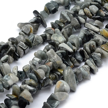 Natural Hawk's Eye Beads Strands, Eagle Eye Stone, Chip, 5~8mm, Hole: 1mm, about 33 inch(84cm)