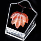 Natural Carnelian Pendants Necklaces(PW-WG25252-08)-1