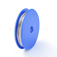 Copper Craft Wire, for Jewelry Making, Silver, 0.8mm, about 20m/roll(CWIR-E004-0.8mm-S)