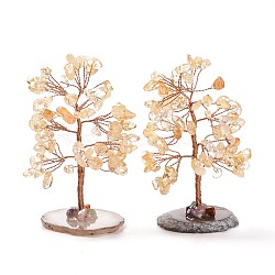 Natural Citrine Chips & Agate Pedestal Display Decorations, Tree of Life Healing Stone Tree, for Reiki Healing Crystals Chakra Balancing, Cadmium Free & Lead Free, 59~70x47~65x100~114mm(DJEW-A001-04D)