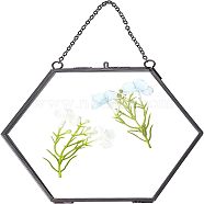 Brass Glass Hanging Photo Frame, DIY Artwork Display Frame for Dried Plant Specimen Pressed Flowers, Hexagon, Clear, 15x16x0.8cm, Inner Size: 13x14cm(AJEW-WH0017-27)