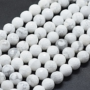 Natural Howlite Beads Strands, Faceted, Round, 8mm, Hole: 1mm, about 49pcs/strand, 15.55 inch(39.5cm)(G-D0013-65)