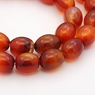 Oval Natural Carnelian Beads Strands, Dyed & Heated, 11x9mm, Hole: 1mm, about 37pcs/strand, 15.5 inch(G-D622-06-A)