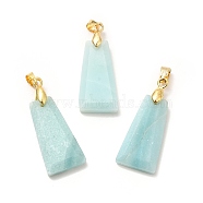 Natural Amazonite Pendants, Faceted Trapezoid Charms, with Rack Plating Golden Tone Brass Findings, Cadmium Free & Lead Free, 25~26x12.5~13x3.5~4mm, Hole: 5x4mm(G-C045-01D-G)