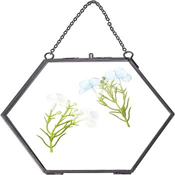 Brass Glass Hanging Photo Frame, DIY Artwork Display Frame for Dried Plant Specimen Pressed Flowers, Hexagon, Clear, 15x16x0.8cm, Inner Size: 13x14cm