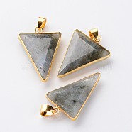 Faceted Triangle Natural Labradorite Big Pendants, with Golden Tone Brass Findings, 30~35x19~26x5~6mm, Hole: 5x4mm(G-M294-03)