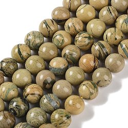 Natural Verdite Stone Beads Strands, Round, 8mm, Hole: 1mm, about 45~47pcs/strand, 15.16''(38.5cm)(G-P530-B07-03)