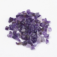 Natural Amethyst Beads, No Hole/Undrilled, Chips, 5~16x2~5mm, about 50g/bag(G-J370-04)