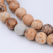 Natural Picture Jasper Beads Strands, Round, 8~8.5mm, Hole: 1mm, about 47pcs/strand, 15.5 inch(X-G-Q462-8mm-35)
