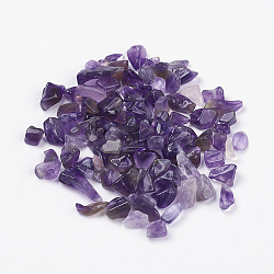 Natural Amethyst Beads, Tumbled Stone, No Hole/Undrilled, Chips, 5~16x2~5mm, about 50g/bag(G-J370-04)