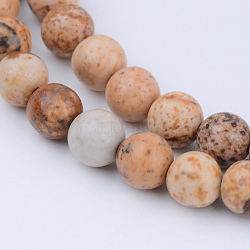 Natural Picture Jasper Beads Strands, Round, 8~8.5mm, Hole: 1mm, about 47pcs/strand, 15.5 inch(X-G-Q462-8mm-35)