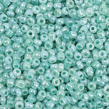 Glass Seed Beads(SEED-XCP0001-48)-2