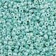 Glass Seed Beads(SEED-XCP0001-48)-2