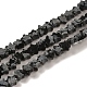 Natural Snowflake Obsidian Beads Strands(G-G085-B37-01)-1