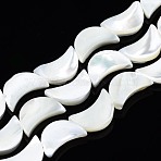Natural Trochid Shell/Trochus Shell Beads Strands, Bleach, Moon, White, 14x8~9x3mm, Hole: 0.8mm, about 39~32pcs/strand, 15.94 inch~16.54 inch(40.5~42cm)(SSHEL-N034-97B-B01)