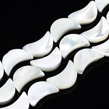 Natural Trochid Shell/Trochus Shell Beads Strands, Bleach, Moon, White, 14x8~9x3mm, Hole: 0.8mm, about 39~32pcs/strand, 15.94 inch~16.54 inch(40.5~42cm)