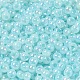 Perles de rocaille de verre(SEED-H002-H-1304)-3