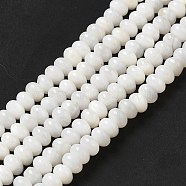 Natural Freshwater Shell Beads Strands, Rondelle, Seashell Color, 6x4mm, Hole: 0.9mm, about 97pcs/strand, 15.31~15.39''(38.9~39.1cm)(BSHE-E026-15B-02)