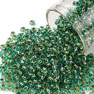 TOHO Round Seed Beads, Japanese Seed Beads, (755) 24K Gold Lined Light Aqua, 8/0, 3mm, Hole: 1mm, about 222pcs/bottle, 10g/bottle(SEED-JPTR08-0755)