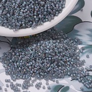 MIYUKI Delica Beads, Cylinder, Japanese Seed Beads, 11/0, (DB0863) Matte Transparent Gray AB, 1.3x1.6mm, Hole: 0.8mm, about 2000pcs/10g(X-SEED-J020-DB0863)