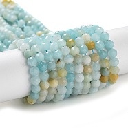 Natural Flower Amazonite Beads Strands, Faceted, Round, 4mm, Hole: 0.6mm, about 94~95pcs/strand, 15.35''(39cm)(G-J400-E07-02)