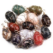 Natural & Synthetic Mixed Gemstone Pendants, with Brass Wire Wrapped, Egg Shape Charm, Light Gold, 41.5~43.5x20~21x20~21mm, Hole: 4~5.5mm(G-N326-151LG)