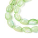 brins de perles de coquillages naturels de troca(X-SHEL-K006-19-01C)-3