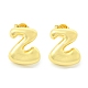 Rack Plating Brass Earrings(EJEW-S222-01G-Z)-1