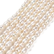 Natural Cultured Freshwater Pearl Beads Strands, Rice, Grade 3A, Floral White, 4~4.5x3~4x3~4mm, about 73~74pcs/strand, 13.78''(35cm)(PEAR-E016-124)