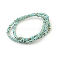 Natural Howlite Beads Strands, Dyed, Heishi Beads, Flat Round/Disc, Sky Blue, 3x2mm, Hole: 0.8mm, about 208pcs/strand, 16 inch(40.64cm)(X-G-P398-B01)