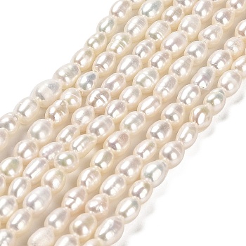 Natural Cultured Freshwater Pearl Beads Strands, Rice, Grade 3A, Floral White, 4~4.5x3~4x3~4mm, about 73~74pcs/strand, 13.78''(35cm)