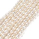 Natural Cultured Freshwater Pearl Beads Strands(PEAR-E016-124)-1