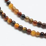 Natural Tiger Eye Bead Strands, Round, 2mm, Hole: 0.5mm, about 170~174pcs/strand, 14.9~15.2 inch(G-R172-2mm-19)