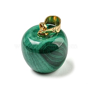 Natural Malachite Pendants, Apple Charms with Alloy Snap on Bails, Golden, 13.5x12mm, Hole: 3.7x4.2mm(G-D094-03G)