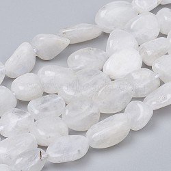 Natural Rainbow Moonstone Beads Strands, Nuggets, Tumbled Stone, 8~10x8~9x5.5~6mm, Hole: 0.5mm, about 43pcs/strand, 15.55 inch(39.5cm)(G-L493-50)