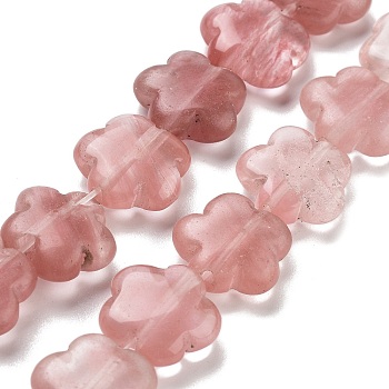 Cherry Quartz Glass Beads Strands, Flower, 16x16x6mm, Hole: 1.4mm, about 25pcs/strand, 14.57~14.96 inch(37~38cm)