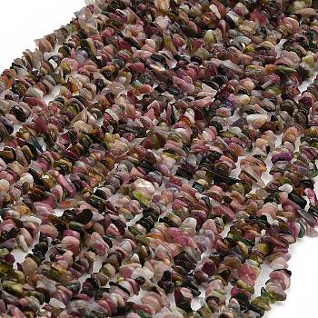 Natural Multicolor Tourmaline Beads Strands, Chip, 5~17.5x5~10.5x1~6.5mm, Hole: 0.6~0.7mm, 31.50''(80cm)