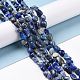 Natural Lapis Lazuli Beads Strands(G-F575-01F)-2
