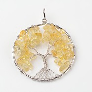 Tree of Life Natural Citrine Big Pendants, with Brass Findings, Platinum, 63~65x49~51x8~10mm, Hole: 8~10mm(X-G-L455-D06)