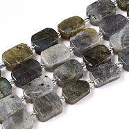 Natural Grey Labradorite Beads Strands, with Seed Beads, Rectangle, 10.5~12x7.5~10x4~5.5mm, Hole: 0.9mm, seed beads: 3x3x2, hole: 0.8mm, about 28pcs/strand, 15.55''(39.5cm)(G-T138-07)