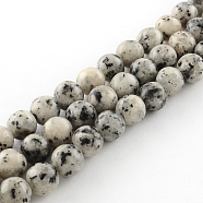 Dyed Natural Sesame Jasper Round Beads Strands, Gainsboro, 10mm, Hole: 1mm, about 38pcs/strand, 14.9 inch(G-R342-10mm-15)
