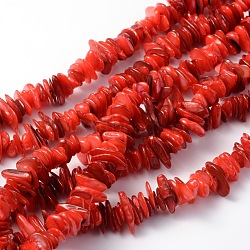 Natural Shell Beads Strands, Dyed, Chips, Red, 6~15x3~7x1~3mm, Hole: 1mm(BSHE-D003-4)