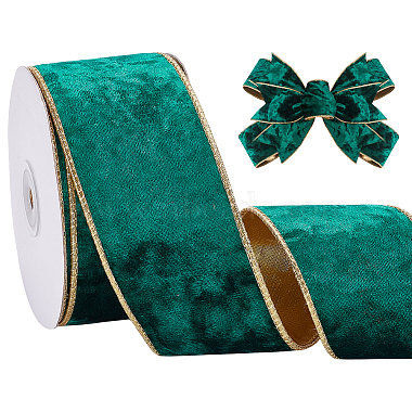 Polyester Ribbon(OCOR-WH0112-024)-1