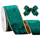 Polyester Ribbon(OCOR-WH0112-024)-1