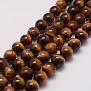 Natural & Dyed Tiger Eye Bead Strands, Grade AB, Round, 16mm, Hole: 1.5mm, about 25pcs/strand, 14.9 inch~15.5 inch(G-P230-10-16mm)