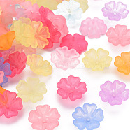Transparent Frosted Acrylic Bead Caps, 5-Petal, Flower, Mixed Color, 16.5x6mm, Hole: 1.6mm(X-MACR-S371-04A)