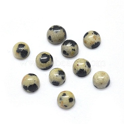 Natural Dalmatian Jasper Cabochons, Half Round/NaturalDome, 4x1.5~2.5mm(X-G-O175-23-22)