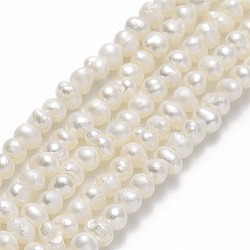 Natural Cultured Freshwater Pearl Beads Strands, Potato, Beige, 2~2.5x2.5~4x2.5~4mm, Hole: 0.5mm, about 160~178pcs/strand, 14.49~15.63 inch(36.8~39.7cm)(PEAR-F018-02A)